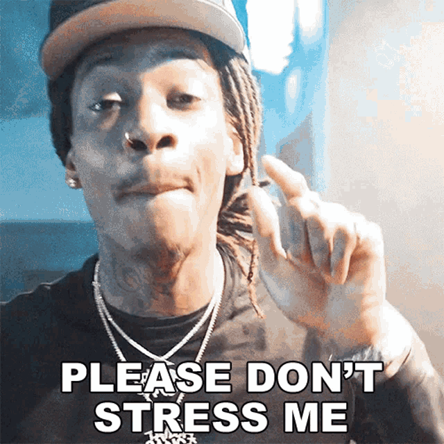 Please Dont Stress Me Wiz Khalifa GIF - Please Dont Stress Me Wiz Khalifa Aint Shit Free Song GIFs