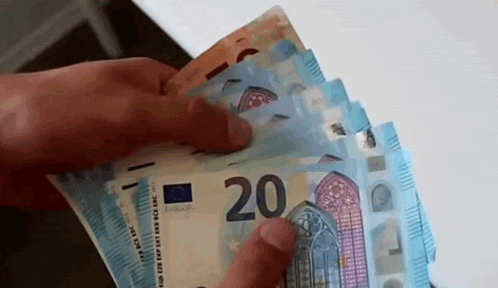 a person is holding a stack of 20 euro notes