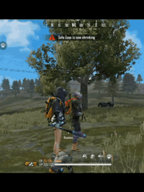 a screenshot of a video game that says safe zone