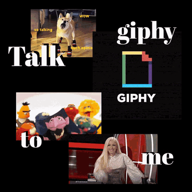 Giphy Gif GIF - Giphy Gif Talk GIFs