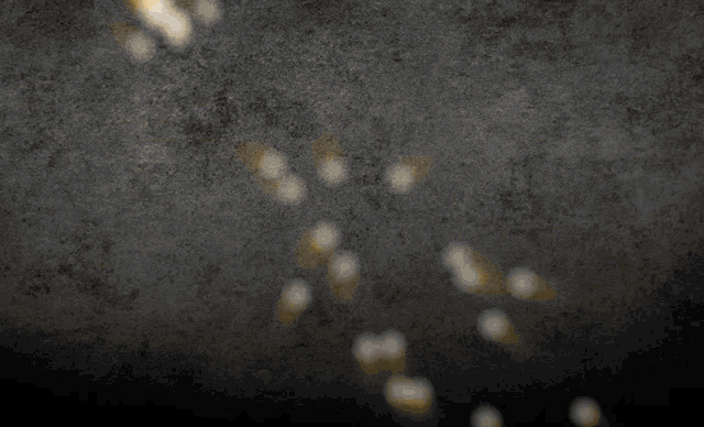 a gray background with yellow letters and numbers