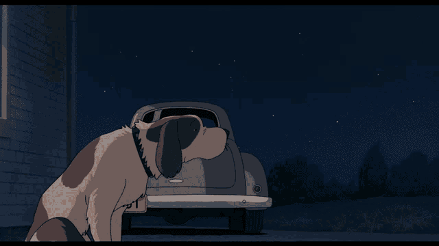 a dog standing next to a car with a license plate that says " tp "