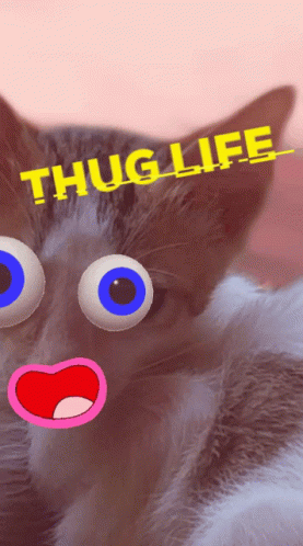 Thug Life GIF - Thug Life GIFs