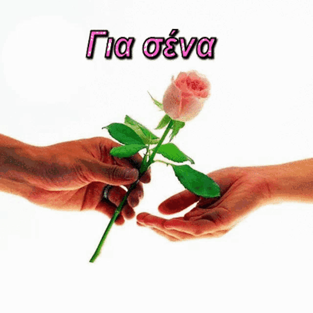 a person is handing a pink rose to another person with the words για σένα written above them