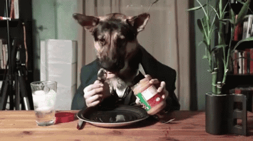 a dog with a man 's face is eating peanut butter from a plate .