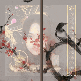 a painting of a woman surrounded by flowers and birds with the word vivavideo at the top