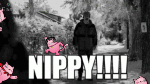 Nippy Meet Nippy GIF - Nippy Meet Nippy Feeling Nippy GIFs