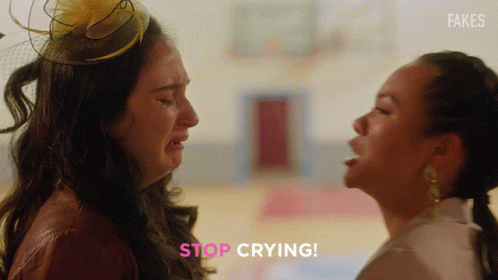 Stop Crying Stop Crying Rebecca GIF - Stop Crying Stop Crying Rebecca Becca GIFs