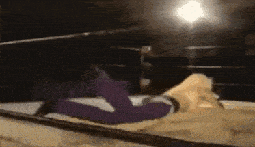 a person in a purple outfit is laying on the ground in a boxing ring .