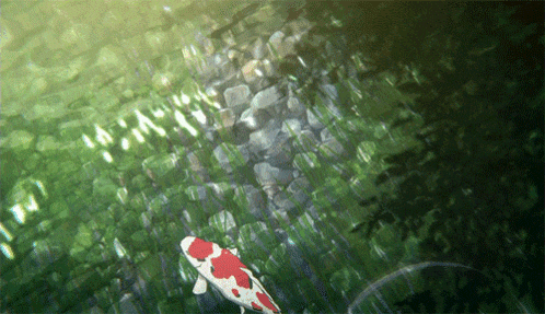 a red and white fish is swimming in a green pond