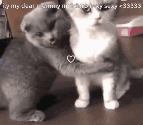 a picture of two cats hugging with the caption ily my dear mommy muchiro sexy sexy <33333