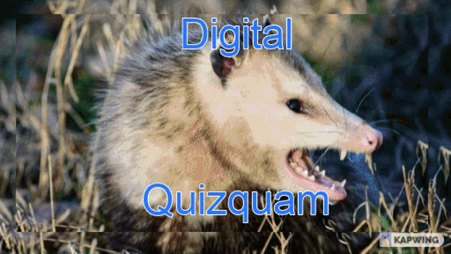 Quizquam GIF - Quizquam GIFs