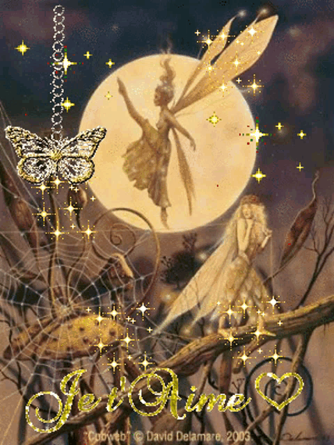 a picture of a fairy with the words je t'aime written on it