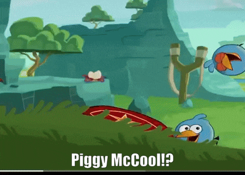 a cartoon of angry birds with the words piggy mcool