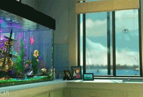 Finding Nemo Glass GIF - Finding Nemo Glass Oops GIFs