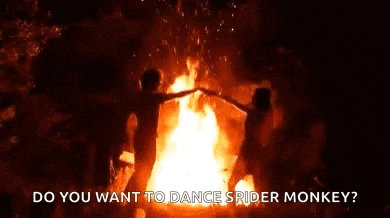 two people are dancing in front of a fire with the words do you want to dance spider monkey