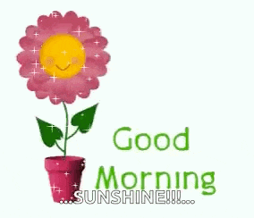 a pink flower with a smiley face on it is in a pink pot and says `` good morning sunshine '' .