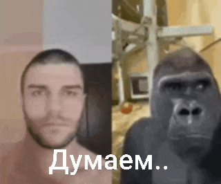 a man and a gorilla are standing next to each other and the gorilla is looking at the man .