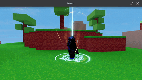 a screenshot of a roblox game shows a person standing in a circle