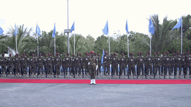 Somalia Somalia National Army GIF - Somalia Somali Somalia National Army GIFs