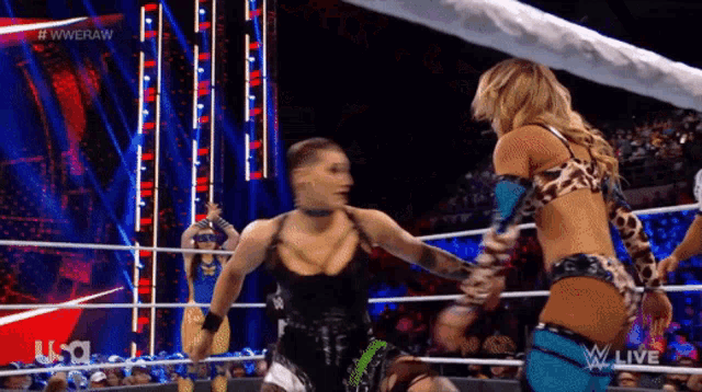 two women are wrestling in a ring with the letters usa on the screen