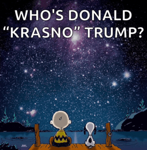 a cartoon of charlie brown and snoopy looking up at the stars