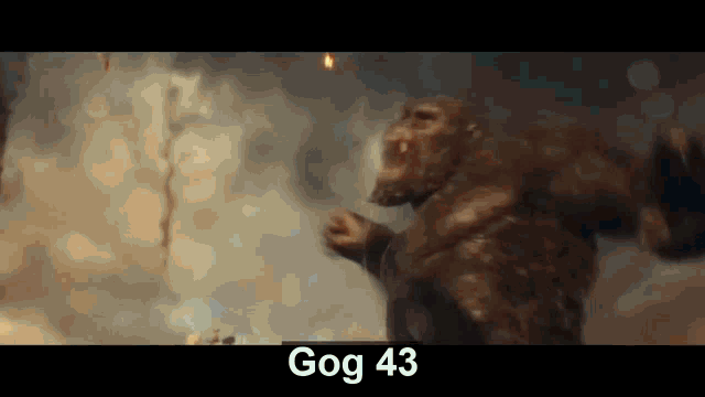Gog43 GIF - Gog43 GIFs