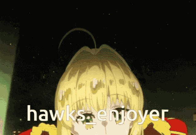 hawks enjoyer is written on a cartoon character 's face