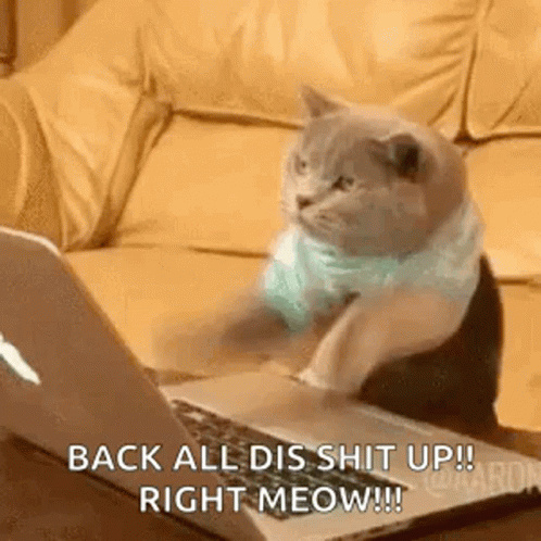 Typing Cat GIF - Typing Cat Macbook GIFs