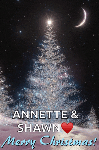 a christmas card for annette and shawn with a christmas tree in the background