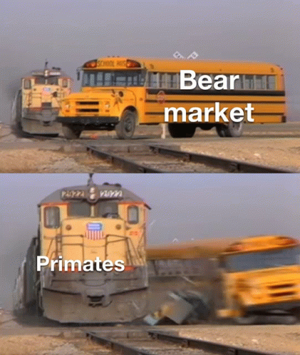 Primates Nft Jngl Solana Bear Market Bull Market Train GIF