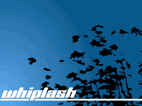 a blue background with black leaves and the word whiplash
