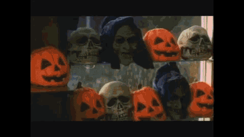 skulls and pumpkins are displayed on a window sill