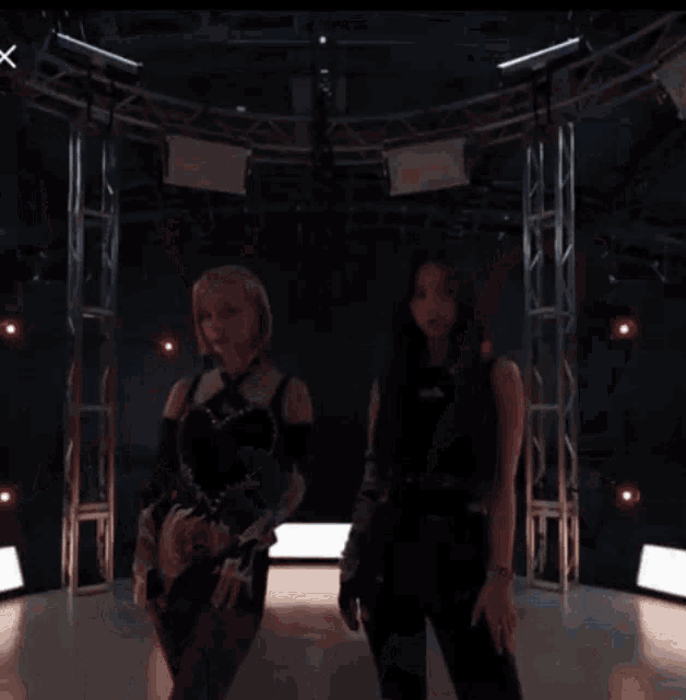 a couple of women are standing next to each other on a stage .