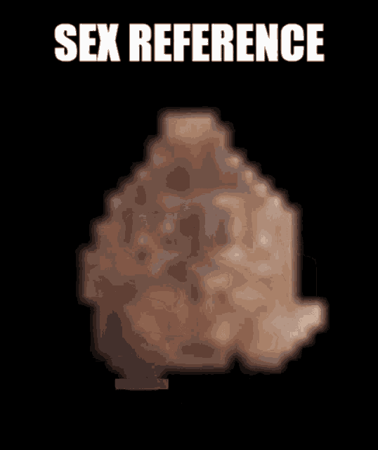 a close up of a rock with the words sex reference above it