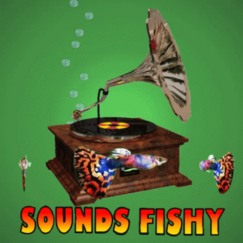 Sounds Fishy Smells Fishy GIF