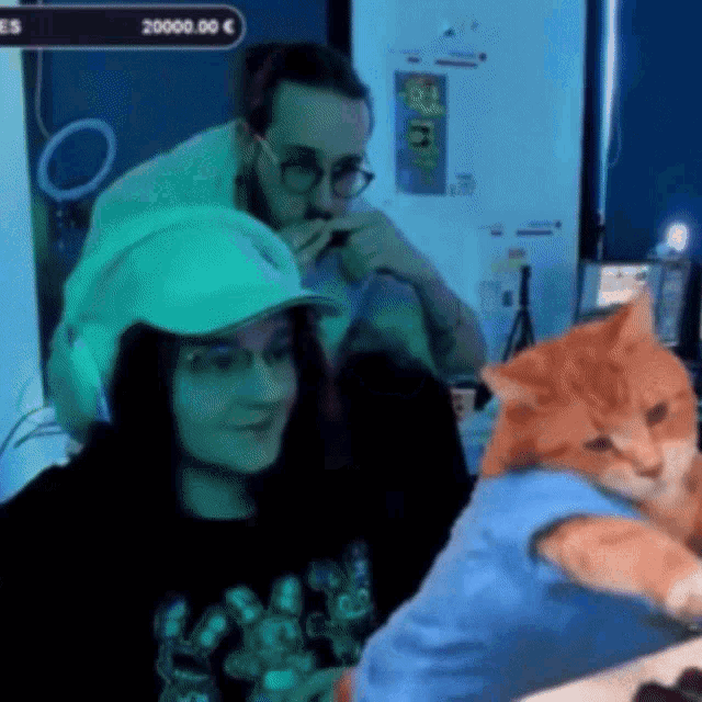 a cat wearing a blue shirt is being hugged by a woman