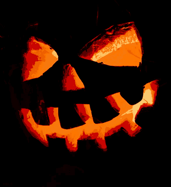 a halloween pumpkin is lit up and has the word hals written below it