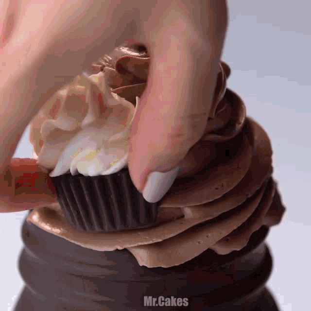 a close up of a person holding a cupcake with the word mr.cakes written on the bottom