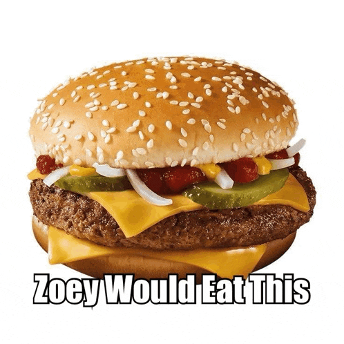 a hamburger with the words zocy would eat this written below it