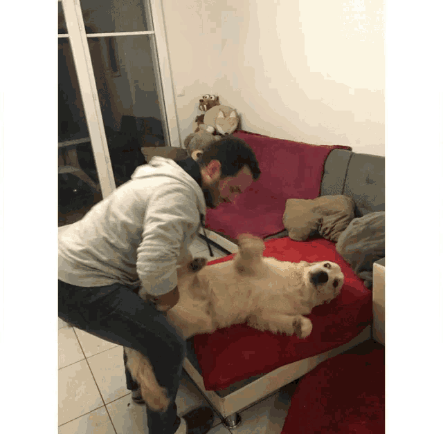 a man playing with a dog that is laying on its back on a couch