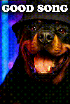 a picture of a dog with the words good song written on it