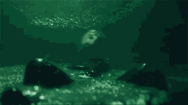 a man is swimming underwater in a pool