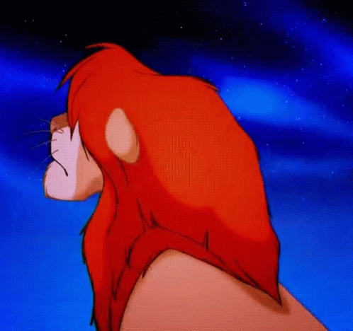 Lion King Simba GIF - Lion King Simba Confused GIFs