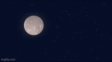 a cartoon bear with a full moon in the background