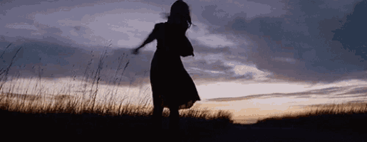 a woman in a dress is standing in a field at sunset .
