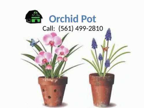 Clear Orchid Pot Clear Orchid Pots GIF - Clear Orchid Pot Clear Orchid Pots Orchid Pots GIFs