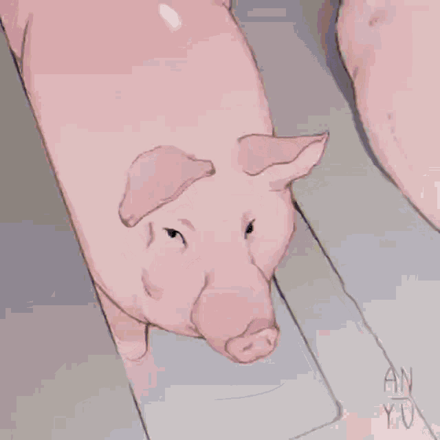 a drawing of a pig with an an on the bottom