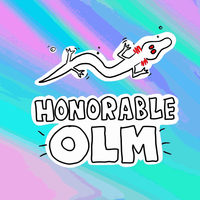 a cartoon drawing of a lizard with the words honorable olm above it