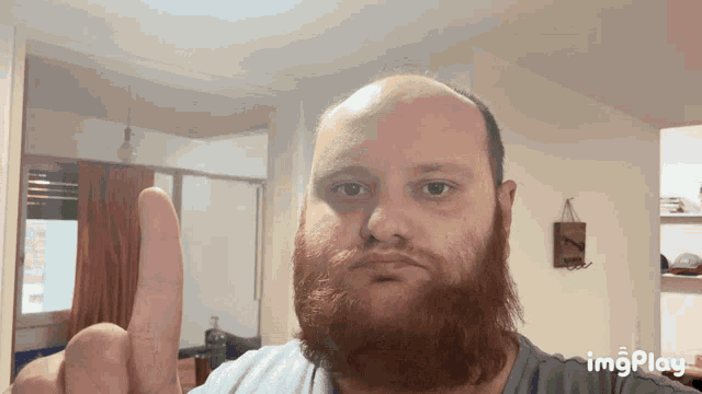 a bald man with a beard is giving a thumbs up sign